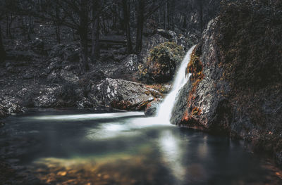 Water splashing in forest