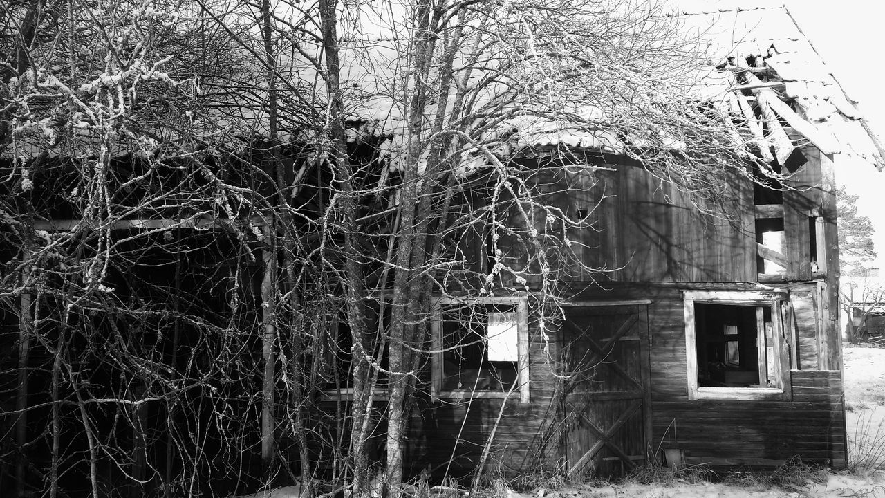 building exterior, architecture, built structure, house, window, tree, residential structure, abandoned, residential building, bare tree, old, damaged, obsolete, building, deterioration, day, outdoors, run-down, branch, wall - building feature