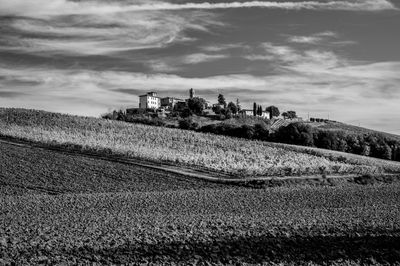 Scenic view of agricultural field against sky