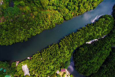 High angle view of lake amidst trees