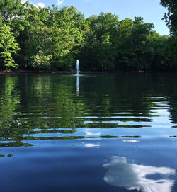 Reflection of trees in water