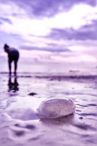 Surface level of water on beach against sky