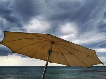 umbrella