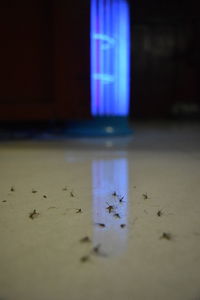 Surface level view of dead insects with electric repellent