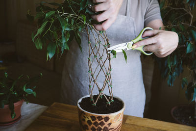 Midsection of woman holding potted plant on table