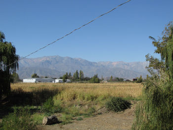 Scenic view of field against clear sky