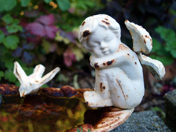 Close-up of stuffed toy against blurred background