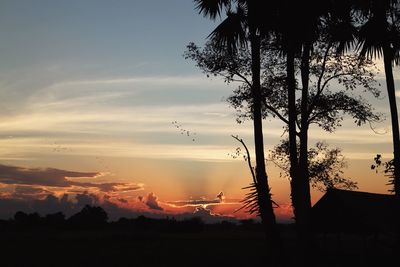 Silhouette trees on field against sky at sunset