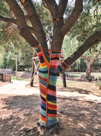 Surface level of colorful tree trunk