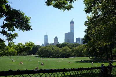 View of park with city in background