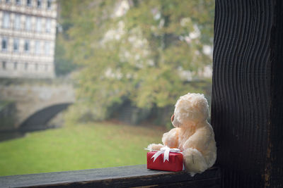 Close-up of toy car on tree