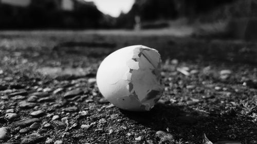 Close-up of ball on grass