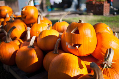 Close-up of pumpkins for sale at market stall