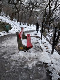 Snow covered bare trees in winter