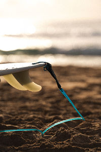Close-up of bird flying over sea