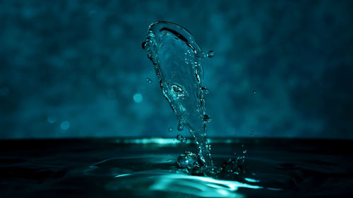 Close-up of water drop falling from surface