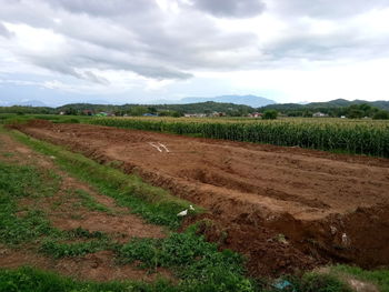 Scenic view of field against sky