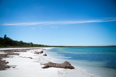 Scenic view of beach against blue sky