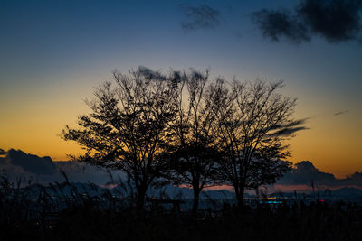 Silhouette trees against sky during sunset