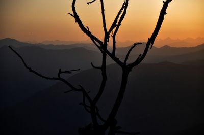 Silhouette bare tree against sky during sunset