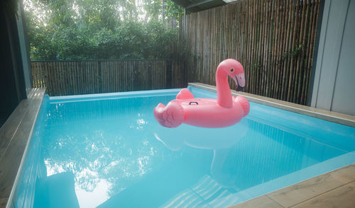 High angle view of swimming in pool