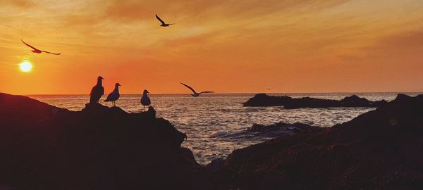 Rear view of man jumping on beach against sky during sunset