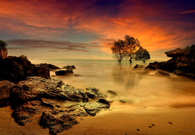 Scenic view of sea during sunset