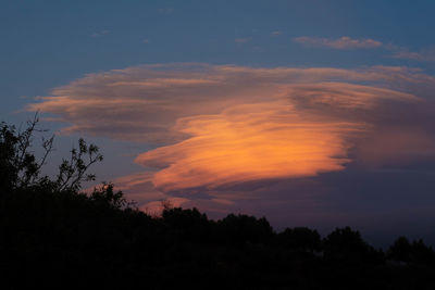 Low angle view of silhouette trees against sky at sunset