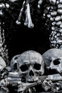 Close-up of human skull