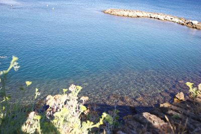 High angle view of sea shore