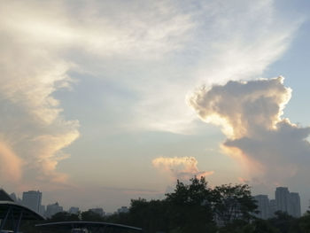 Trees and buildings against sky during sunset