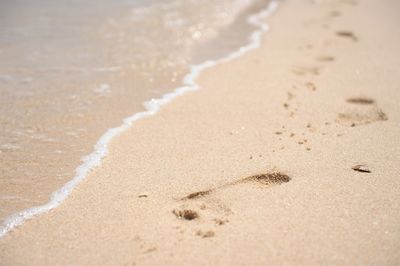 View of sandy beach