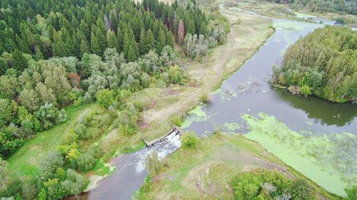 High angle view of river amidst trees in forest
