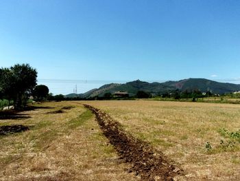 Scenic view of landscape against clear blue sky