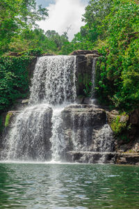 Scenic view of waterfall in forest