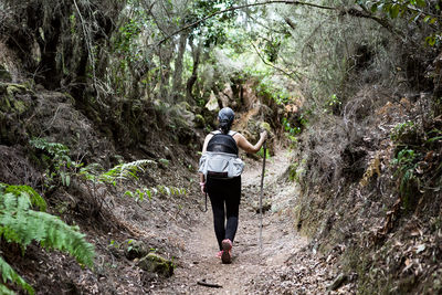 Rear view of woman amidst trees in forest