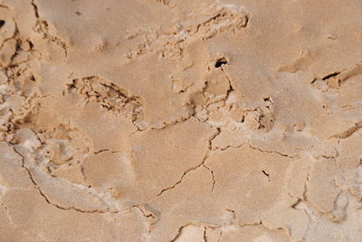 High angle view of footprints on sand