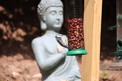 Close-up of buddha statue