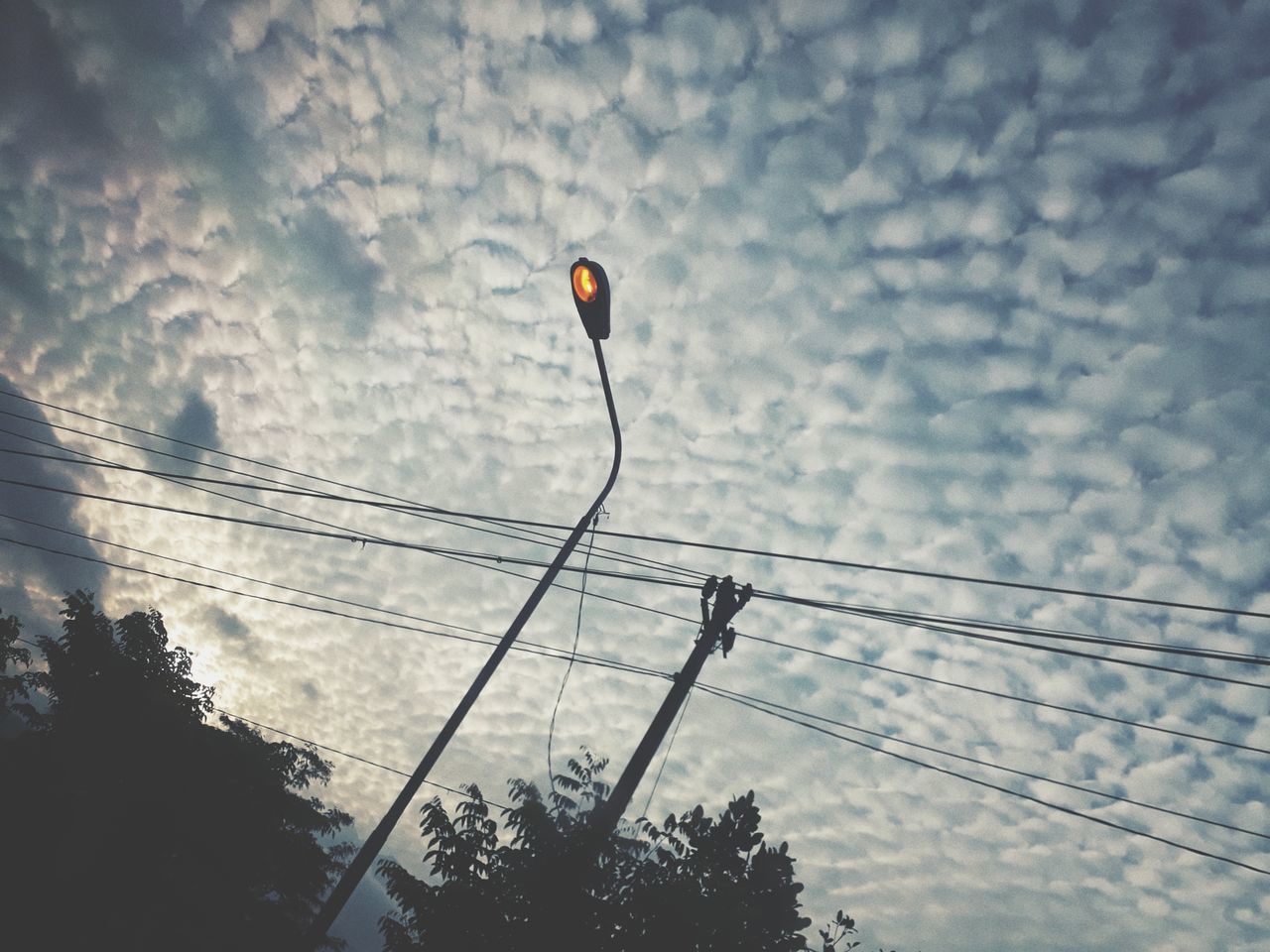 LOW ANGLE VIEW OF SILHOUETTE TREES AGAINST SKY DURING RAINY SEASON