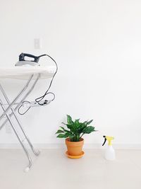 Potted plant on table against white wall