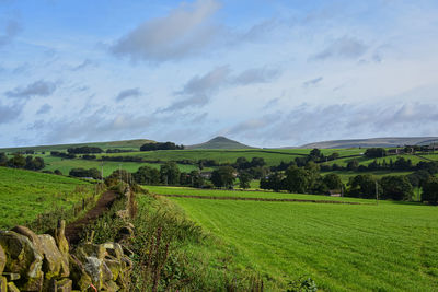 Scenic view of agricultural field against sky