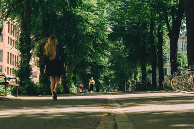 Rear view of woman walking on road by trees in city