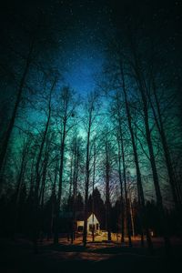 Silhouette trees in forest against sky at night