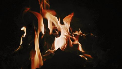 Close-up of bonfire at night