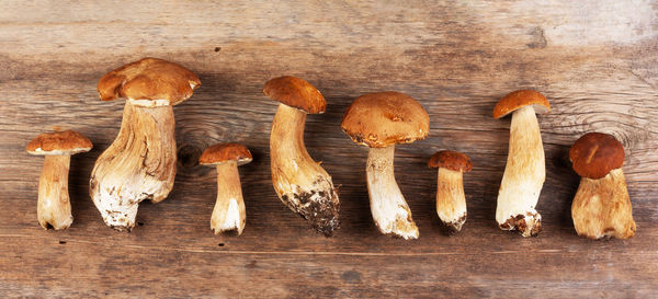 High angle view of mushrooms on wooden table