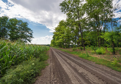 Road passing through field