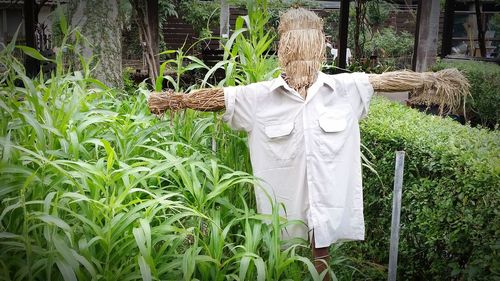 Scarecrow at farm