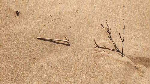 Close-up of sand