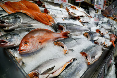 High angle view of fish for sale in market