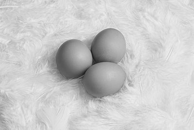 High angle view of eggs in container